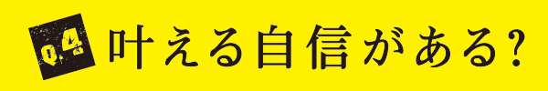 Q4 叶える自信がある？